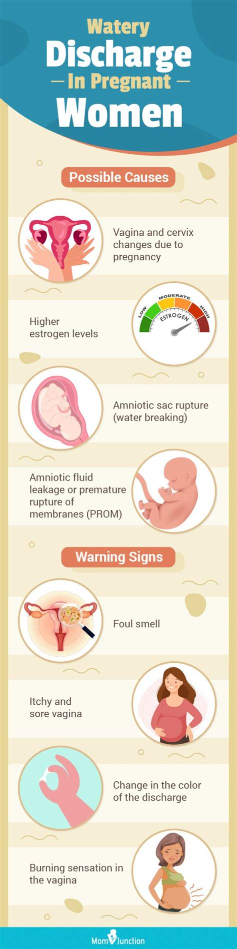 Watery Discharge During Pregnancy